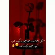 مشکل اینجاست.....................