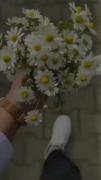 کی مثل من میسوزه چشم چراغ خونته🥹🥺🖤