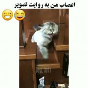 اعصابم تو کل روز همینه خداییش🤦