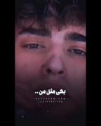 یکی مثل من هرشت از عشقت بارید؛
