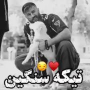 سلامتی سگم.......................