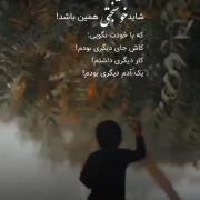 شاید خوشبختی همین باشه........