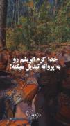 با مشکلات بجنگ اون ها تو رو قوی می کنن