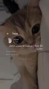 هوم‌جواب‌بده‌دیگ.🌾🕸‌‌‌‌‌‌‌‌‌‌
