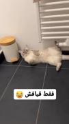 فقط قیافش بعد اون لحظه 😂😂..!