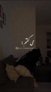 بهش میگفتم دلم خیلی برات تنگ شده... 
