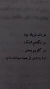 در دلم فریاد بود ...............