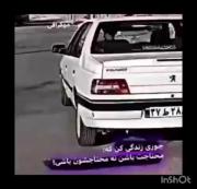 ..............................