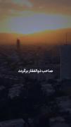 یک عمر است که عشق به دنبال ۳۱۳ نفر می گردد