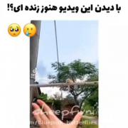 واووووووووووووووووووووو:)🥺🥺🥺