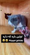 گردن گیر اینام خرابه😂😂😂😂🥲🚬