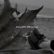 کلیپ عاشقانه دارک دپ مودی لاوطوری