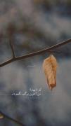 کلیپ نوشته استوری غمگین تنهایی