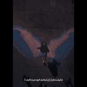 کلیپ نوشته شکست پرواز نا امید.