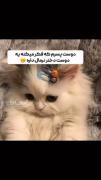 استوری طنز حقیقت رابطه دختر و پسر
