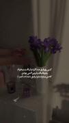 استوری نوشته غمگین هنری نوشته رفاقت