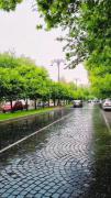استوری نمای خیابان شهر بهاری زیبا