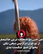 کلیپ انگیزشی باحال موفیقت گنگ