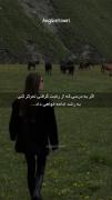 کلیپ استوری سه چیزی که باید به خودت یادآوری کنی