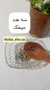 سه گل و گیاه برای پرپشت کردن مژه