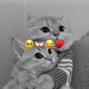 ❤️❤️❤️❤️❤️❤️❤️❤️❤️❤️❤️❤️❤️❤️❤️❤️