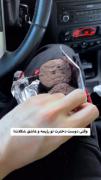 ی کوچولو هم نمیخای حتی😂😂؟.... 
