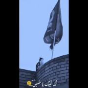یا حسین فدات. که حیوان ها هم هواتو میکنن