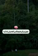 چرا به هیچ کس نمیگی چه اتفاقی افتاده؟!)