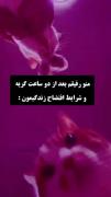 من و رفیقم بعد سخت ترین شرایط::::