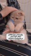 من هر روز دوست دارم»»»»»»»»»»»»»