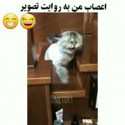 اعصاب من به روایت تصویر =‌‌‌‌‌‌