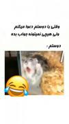 دخترا وقتی کم میارن😂😂🤪‌‌‌‌‌‌‌