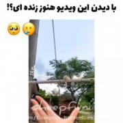 کیووووووووتت ....؟..؟.......💜🥺