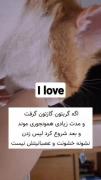  بوس گوربایی :>🤍 تاحالا تجربش کردی؟🥹🐾