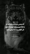 ما بدونِ چشم داشت محبت میکنیم،ذاتمون اینطوریه🤞😏