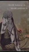 دختر کوورد................................
