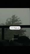 قطره‌های بارون،ناله‌های آروم..