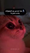 :))))))))))))))))))))))))))))))