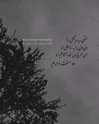 من از پایان خود آگاهم اما......... 