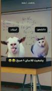حقققققق..... . 