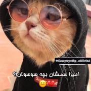 امیرا نظرتون چیه درمورد اهنگ....... 