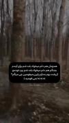 میفهمین چی میگم ؟؟؟؟؟؟؟؟؟؟؟؟؟؟