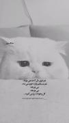 لعنتی کل وجودتو میگیره......... 