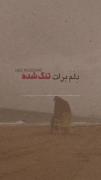 دلم برات تنگ شده............... 