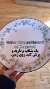 منم عین همین پس مراقب باشید از دستتون نیوفتم