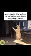 من دیگه نمیتونم 😭😭😭😭😭😭😭😭😭😭