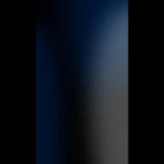 ..............................