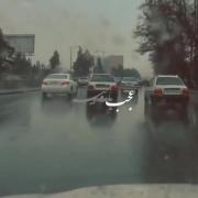 سخنی نیست دگر بار🐾‌‌‌‌‌‌‌‌‌‌‌‌‌