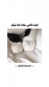 ایده ناخن ساده اما شیک دخترانه 🤌💕