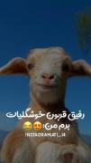 رفیق قربونت بلم من: 🫣😐🫢😂😂